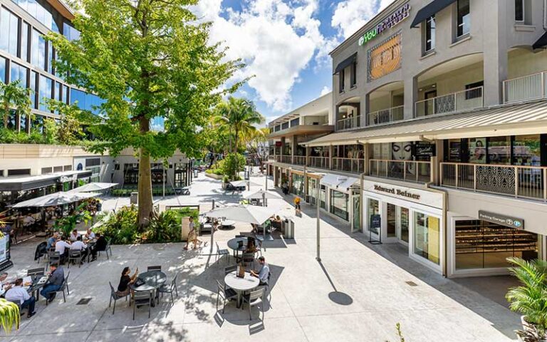 daytime shoppers and diners in courtyard with huge tree at cocowalk miami