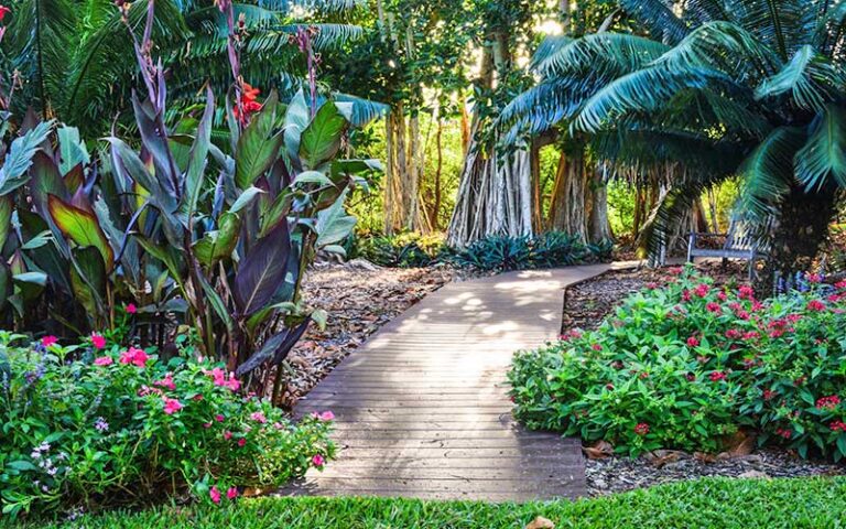 garden with tropical plants and boardwalk pathway at marie selby botanical gardens sarasota