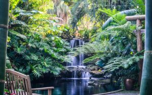 garden with waterfall in middle with tropical plants and bench at marie selby botanical gardens sarasota