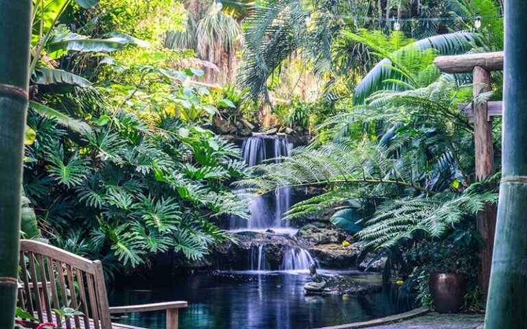 garden with waterfall in middle with tropical plants and bench at marie selby botanical gardens sarasota