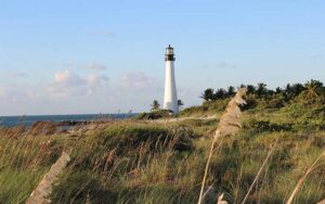 grassy hill with palms and white lighthouse overlooking water at bill baggs cape florida state park miami