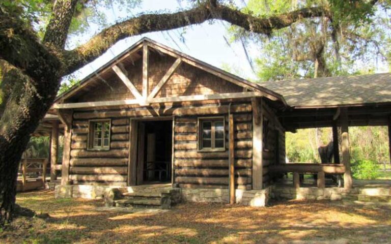 log cabin building with tree overhanging at myakka river state park sarasota