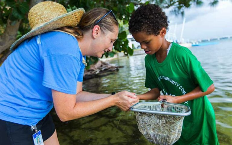 marine worker helping boy sift in bay with net at mote marine laboratory aquarium sarasota