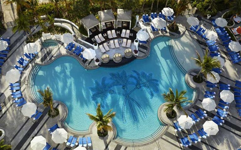 pool area view from above with cabanas umbrellas palms and chairs at loews miami beach hotel