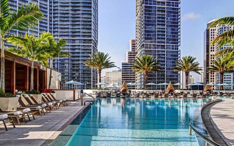 rooftop pool deck with palm trees at kimpton epic hotel miami