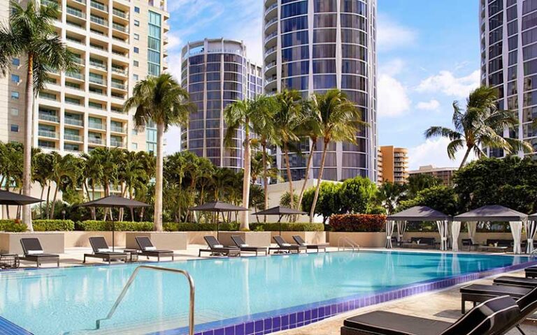 rooftop pool with high rise buildings view and palm trees at ritz carlton miami