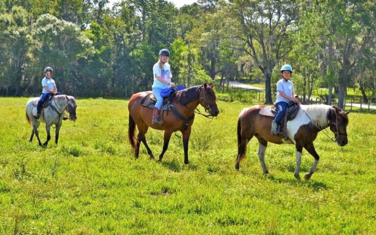row of three girls riding horses across field with trees and fence at diamond d ranch jacksonville
