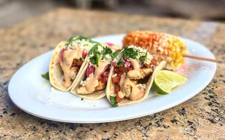 soft shell tacos with corn cob entree at montys coconut grove miami