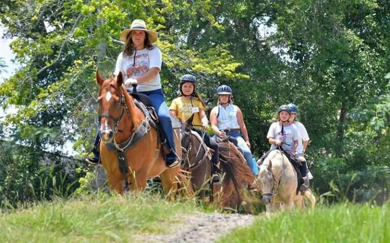 tour of girls on horses riding over grass hill at diamond d ranch jacksonville