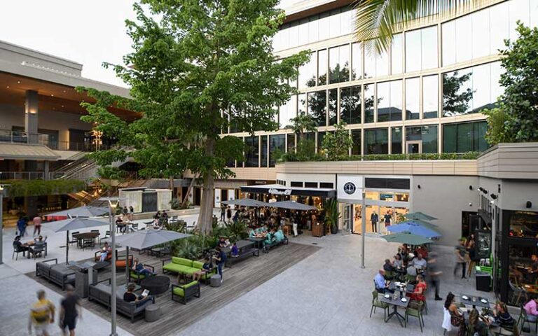 twilight in courtyard with huge tree diners and lamps at cocowalk miami