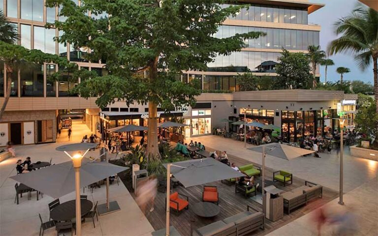 twilight in courtyard with huge tree dining and lamps at cocowalk miami