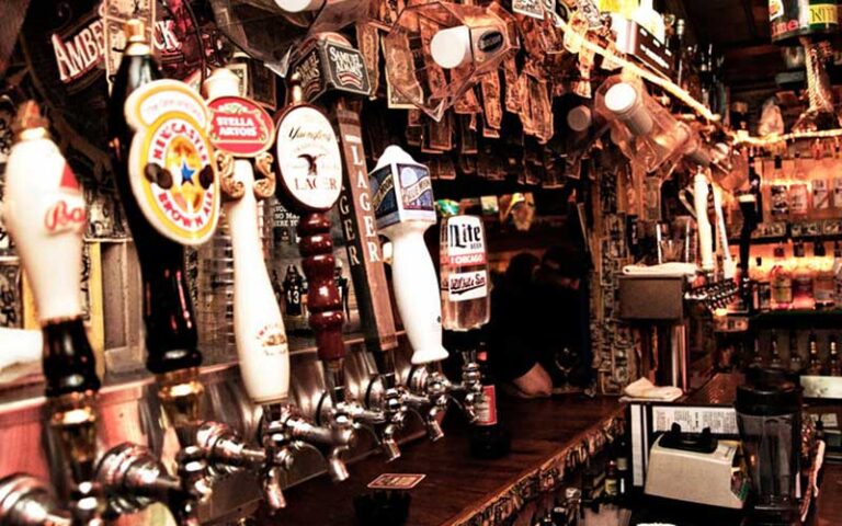 bar interior with many beer taps and bottles at oyster bar at siesta key village sarasota