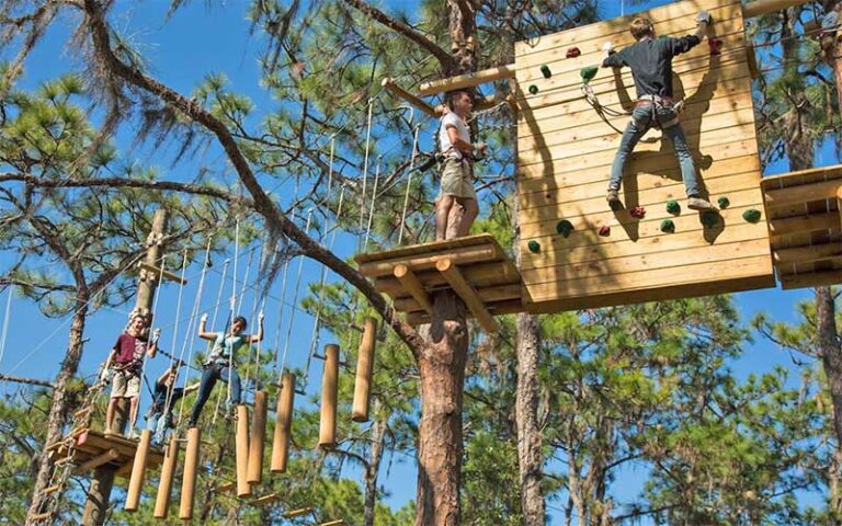 kids climbing on obstacle course in trees at treeumph adventure course bradenton