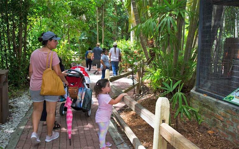 mother with stroller and kids on zoo walkway with animal enclosures at sarasota jungle gardens