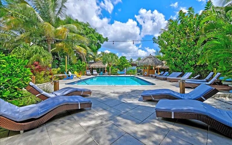 pool area with palms and lounge chairs at siesta key palms resort sarasota