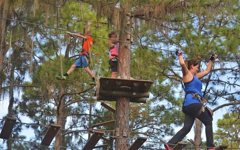 two kids and woman crossing obstacle bridges in trees at treeumph adventure course bradenton