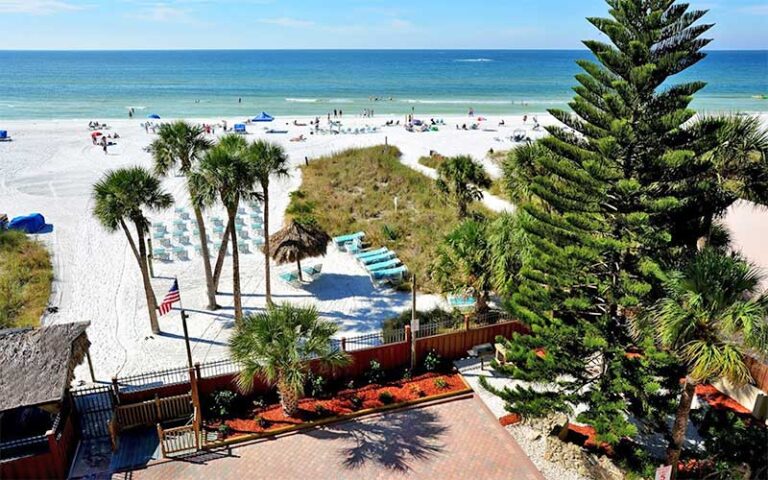 view from condo of beach front with chairs and trees at sea shell condominium sarasota