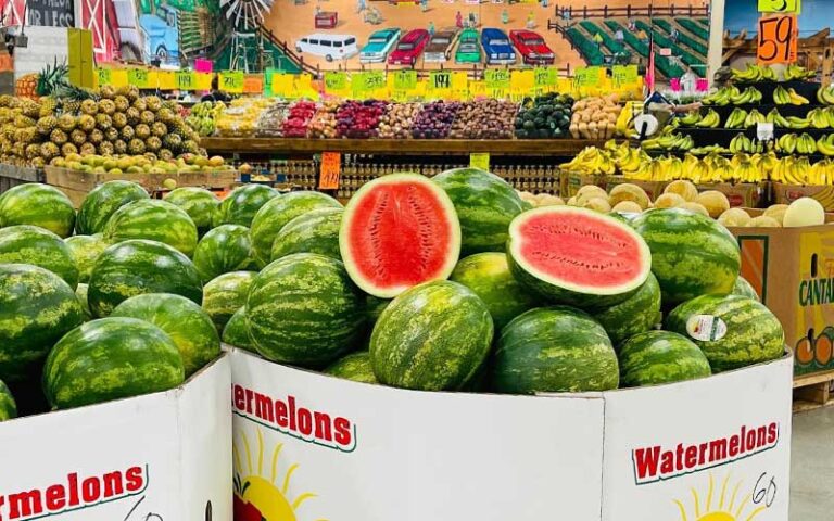 watermelon displays in produce section at detwilers farm market sarasota