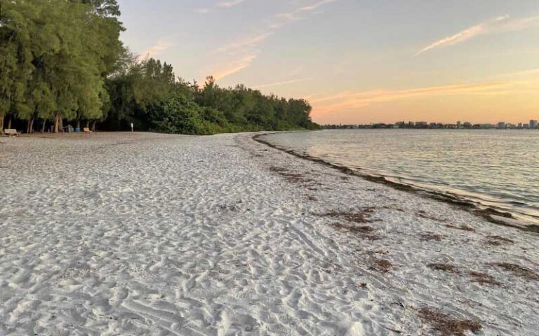 white sand beach at dawn with tree line at south lido county park sarasota