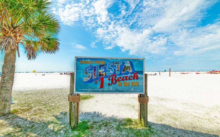 white sand beach with palms and siesta number one beach sign at siesta key village sarasota
