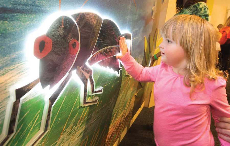 young girl touching interactive caterpillar wall exhibit at museum of discovery and science ft lauderdale