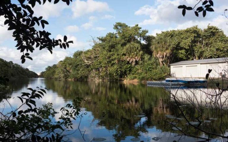 boathouse on river with dense tropical canopy at hugh taylor birch state park fort lauderdale