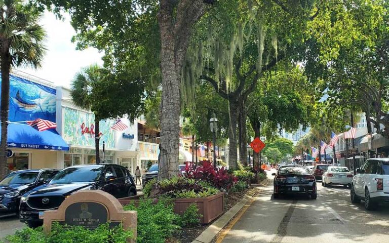 street with median, trees and upscale shops at riverwalk fort lauderdale