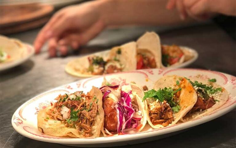 three different gourmet tacos on oval plate at el camino ft lauderdale