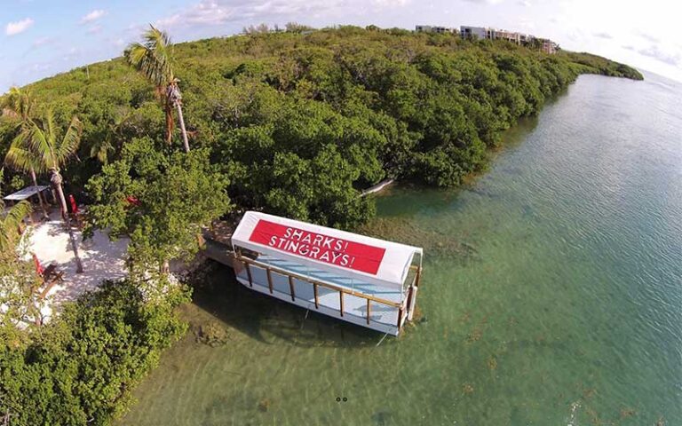 aerial view of shark and stingray diving area with trees at florida keys aquarium encounters marathon