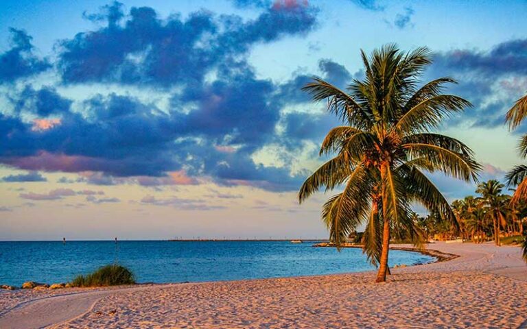 beach scene with colorful dusk sky and palm trees at smathers beach key west