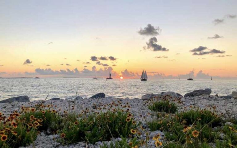 beach with sunflowers and sunset over water with boats at fort zachary taylor historic state park key west