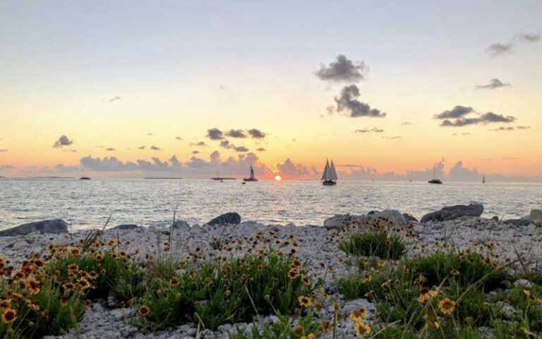 beach with sunflowers and sunset over water with boats at fort zachary taylor historic state park key west