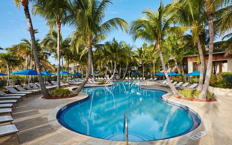 curvy pool with chairs and shady trees at cheeca lodge spa islamorada