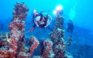 diver swimming through coral at uss spiegel grove wreck key largo