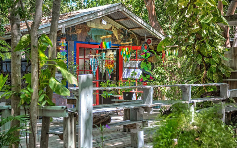 exterior of shop in dense trees at rain barrel village islamorada florida keys