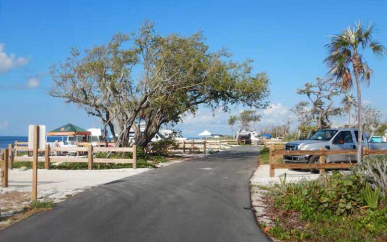 fenced parking areas along beach with trees at bahia honda state park florida keys