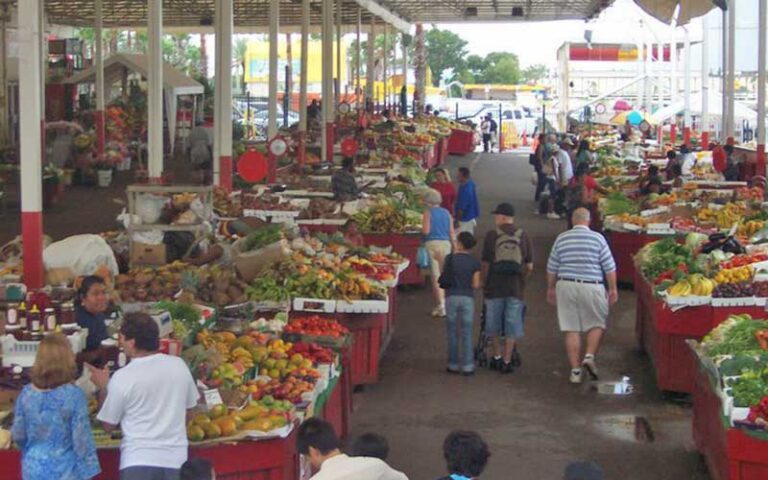 flea market produce stalls at ft lauderdale swap shop