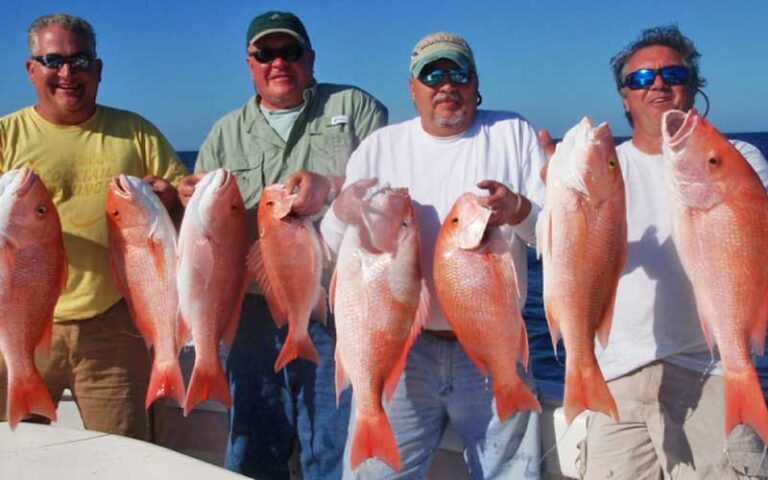 four men holding lots of red snapper at historic charter boat row key west