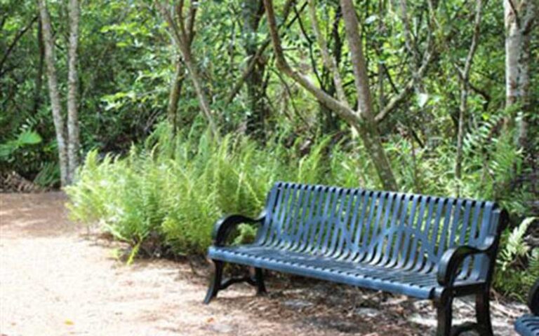 green metal park bench along wooded trail at secret woods nature center ft lauderdale