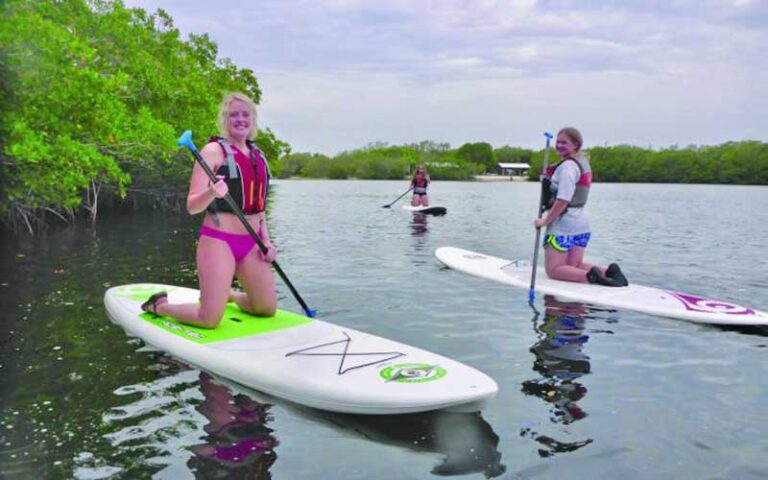 ladies kneeling on paddle boards in inlet at john pennekamp coral reef state park key largo