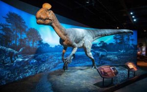 life size model of dinosaur in blue lit exhibit space at antarctic dinosaurs at florida museum of natural history gainesville