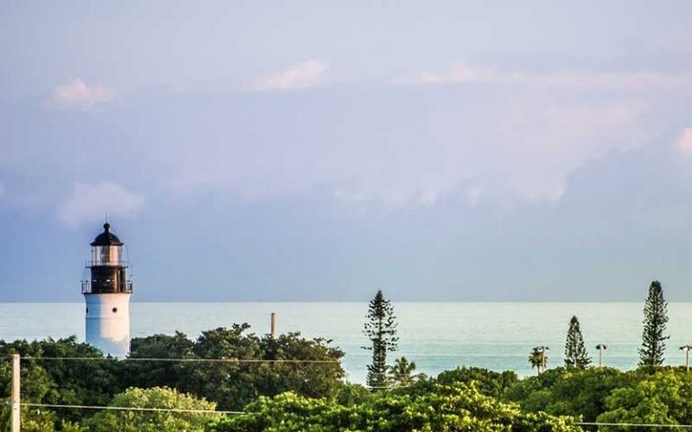 lighthouse with tree line and ocean at key west lighthouse and keepers quarters museum
