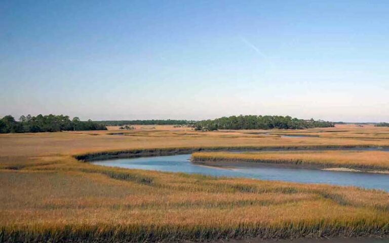 marsh with sawgrass waterway and blue sky at guana river wildlife management area jacksonville