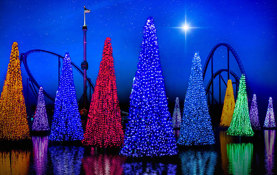 multiple different colored christmas trees hovering over water with theme park background at seaworld