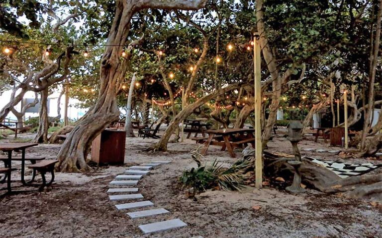 park area around patio with lights in trees at park and ocean ft lauderdale