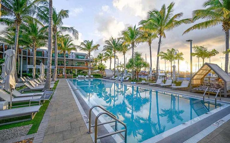 pool area with chairs and palm trees at the perry hotel marina key west