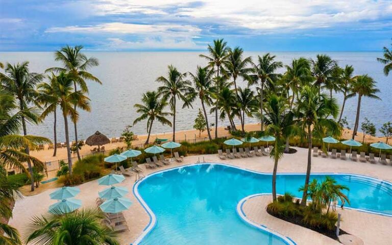pool area with palms and ocean at amara cay resort islamorada fl keys