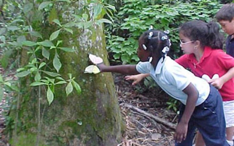 school kids learning about butterflies and trees at secret woods nature center ft lauderdale