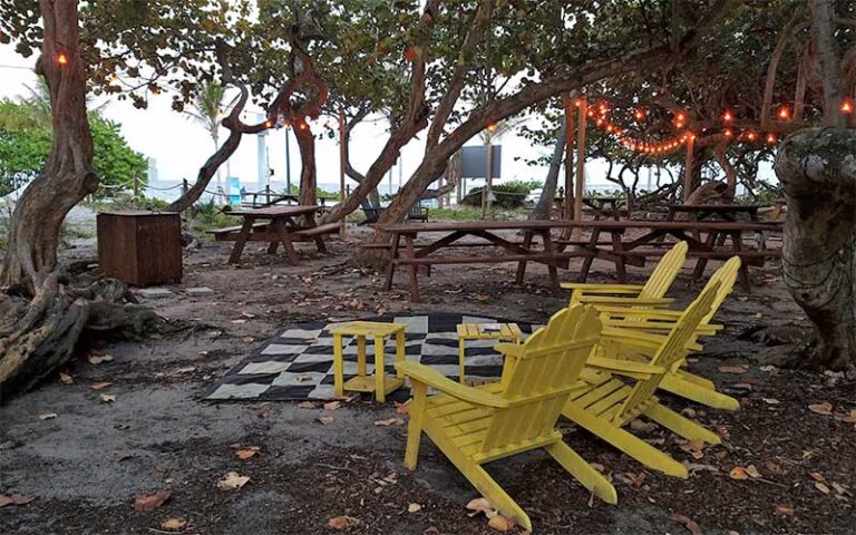 seating area under trees with yellow lounge chairs at park and ocean ft lauderdale