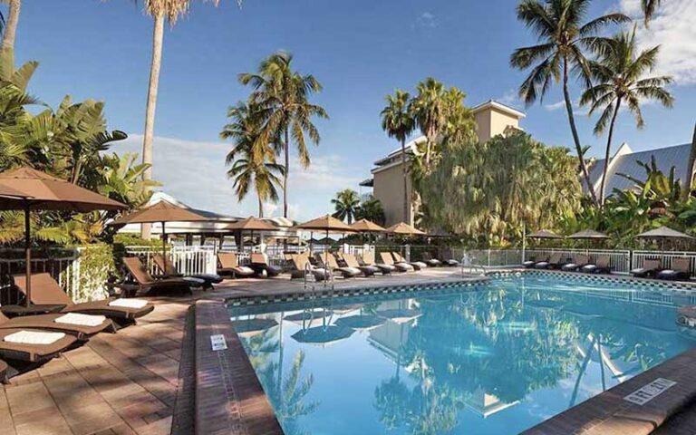 shady pool area with chairs and palm trees at pier house resort spa key west